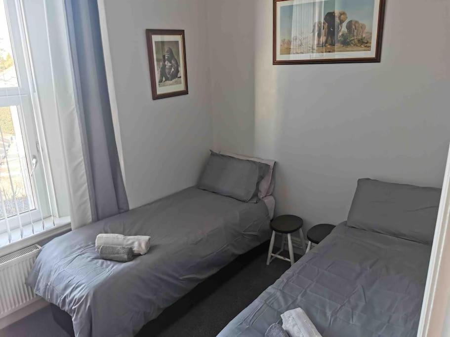 Number 7 Torquay Stunning Sea Views Apartment Bagian luar foto