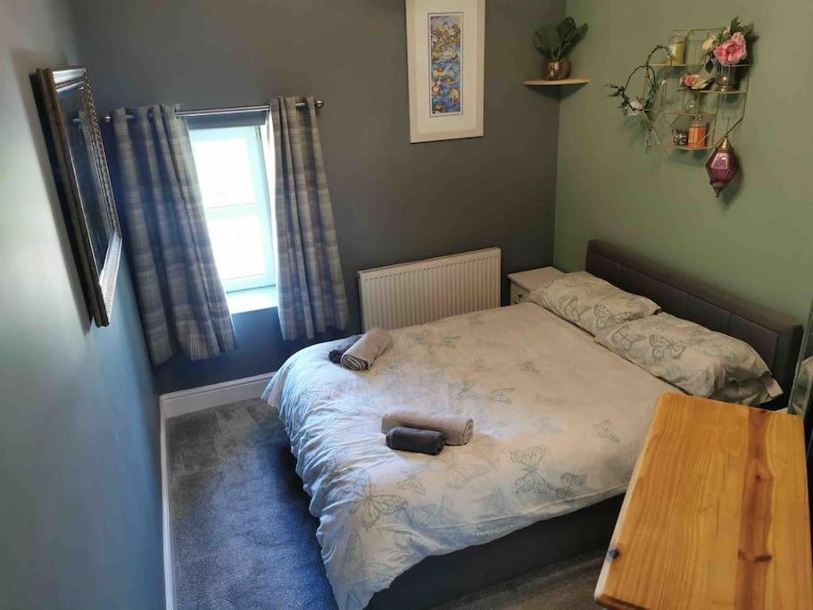 Number 7 Torquay Stunning Sea Views Apartment Bagian luar foto